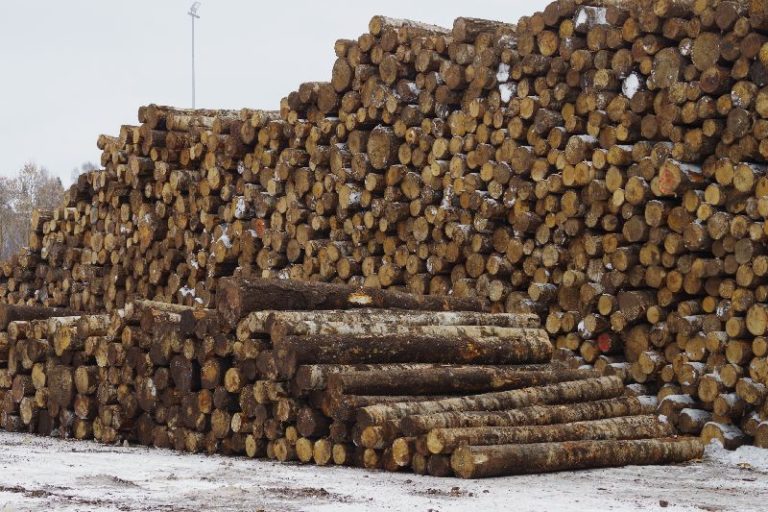 puidurafineerimistehas