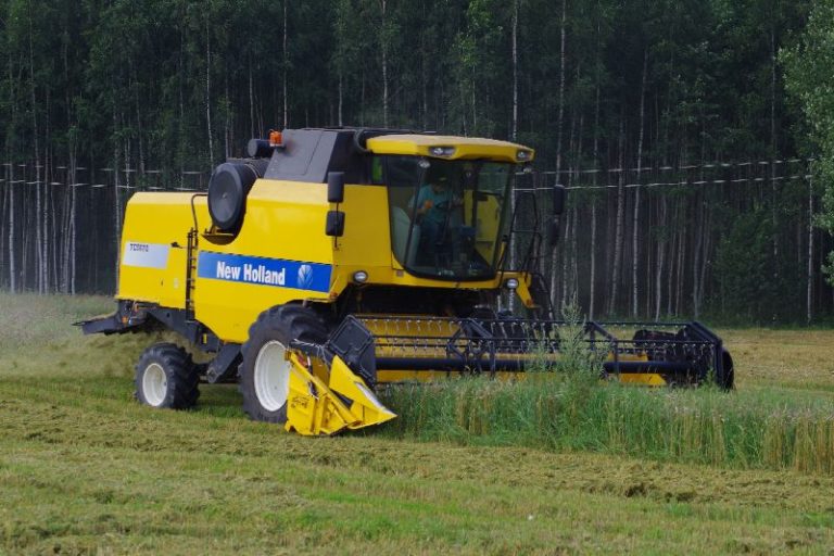 teraviljasaak