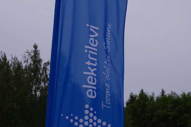 elektrilevi arved