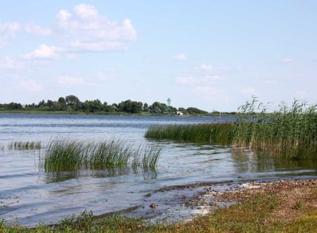 kolm purjus lätlast