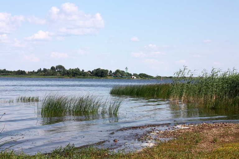 kolm purjus lätlast